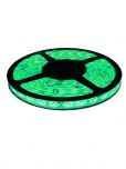 Fita de Led 3528 60 Leds por metro IP65 Rolo 5m Verde 12V